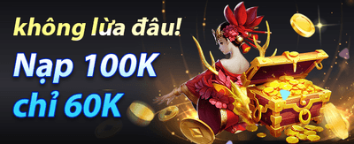 Khuyến mãi đặc biệt tại vnsanhbai.com